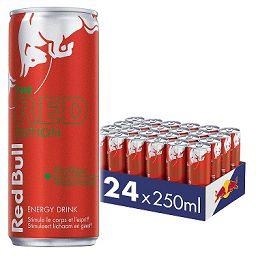 Red Bull summer red edition 250 ml x 24